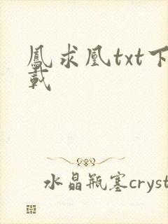 凤求凰txt下载