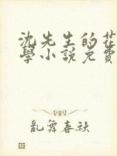 沈先生的花式教学小说免费