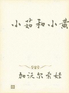小茹和小黄狗