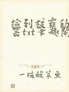 捡到校霸的遥控器txt笔趣阁