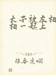 太子被左相和右相一起上