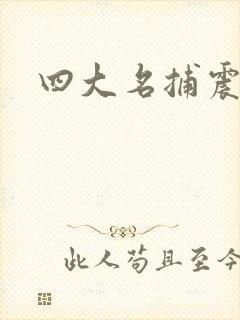 四大名捕震关东
