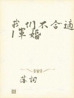 我们不合适1v1军婚
