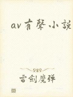 av有声小说