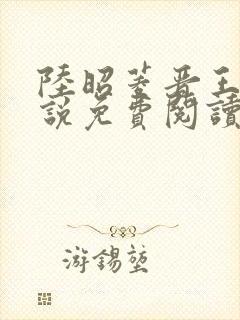 陆昭菱晋王的小说免费阅读