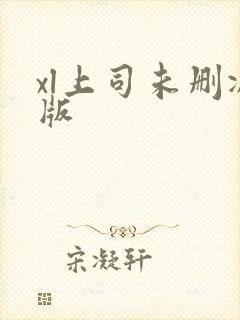 xl上司未删减版