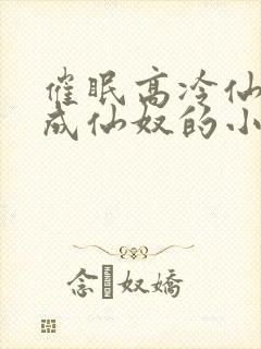 催眠高冷仙奴变成仙奴的小说