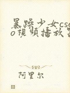 暴躁少女csgo视频播放器推荐