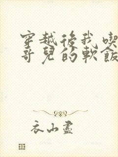 穿越后我吃到了哥儿的软饭炉山灰