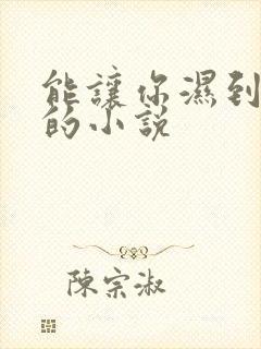 能让你湿到不行的小说