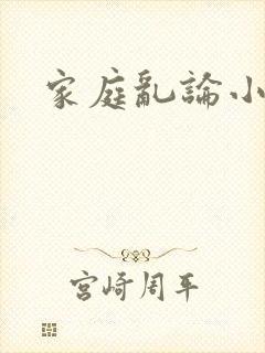 家庭乱论小说