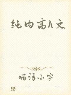 纯肉高h文