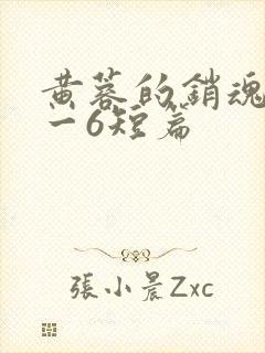 黄蓉的销魂夜1一6短篇