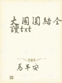 大团圆结全文阅读txt