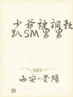 少爷被调教室跪趴SM男男