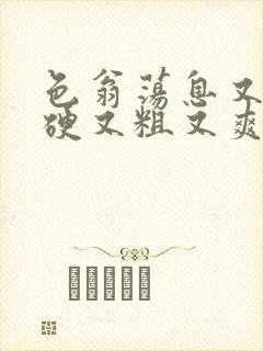 色翁荡息又大又硬又粗又爽电影