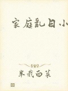 家庭乱日小说