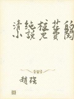 清纯校花的秘密小说免费阅读