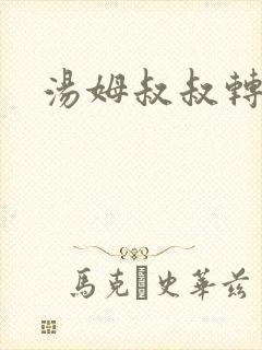 汤姆叔叔转接口