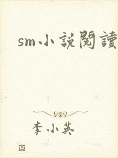 sm小说阅读