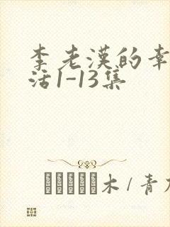 李老汉的幸福生活1-13集