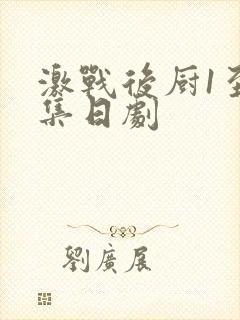 激战后厨1至5集日剧