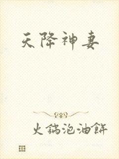 天降神妻