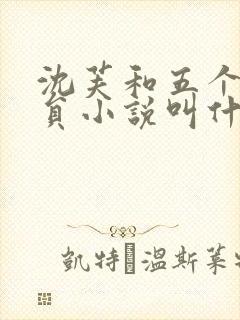 沈芙和五个消防员小说叫什么