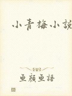 小青梅小说