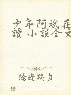 少年阿斌在线阅读 小说全文免费