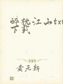 醉枕江山txt下载