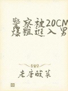 警察被20CM爆粗进入男男软件