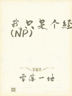 我只是个经纪人(NP)