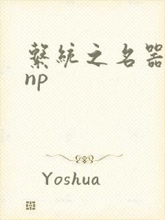 系统之名器攻略np