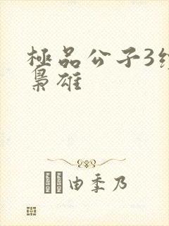 极品公子3续世枭雄