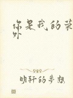 你是我的荣耀番外