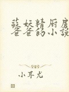 苏妖精厨房爹爹爸爸的小说