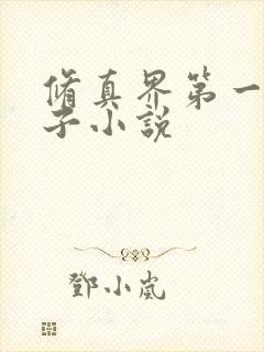 修真界第一病秧子小说