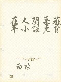 在人间采薇陆三平小说免费阅读