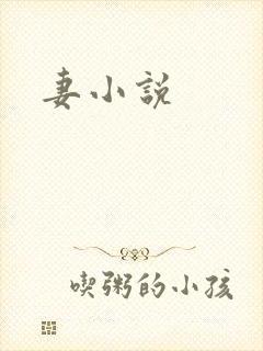 妻小说