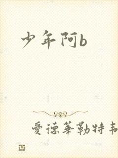少年阿b