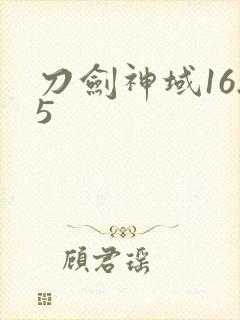 刀剑神域16.5