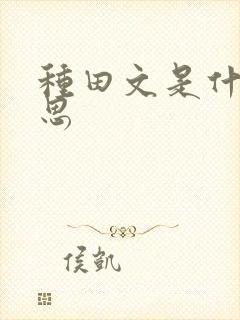 种田文是什么意思