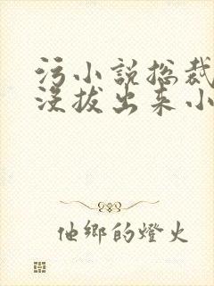 污小说总裁整夜没拔出来小说在线阅读