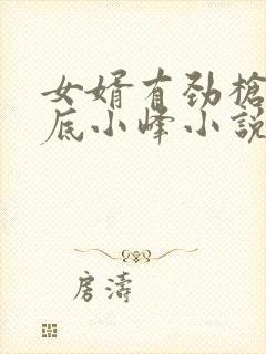 女婿有劲枪枪到底小峰小说