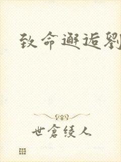 致命邂逅刘小寐