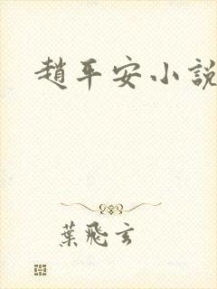 赵平安小说主角