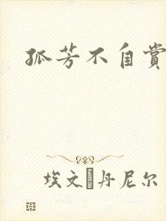 孤芳不自赏小说