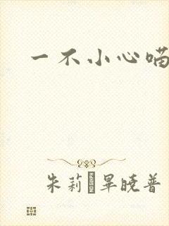 一不小心喵上你