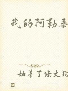 我的阿勒泰小说